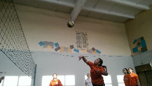 �����������