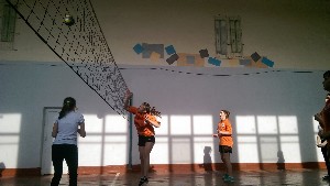 �����������