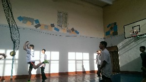 �����������