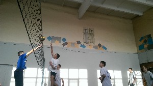 �����������